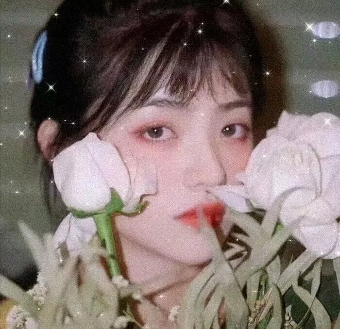 卧虎