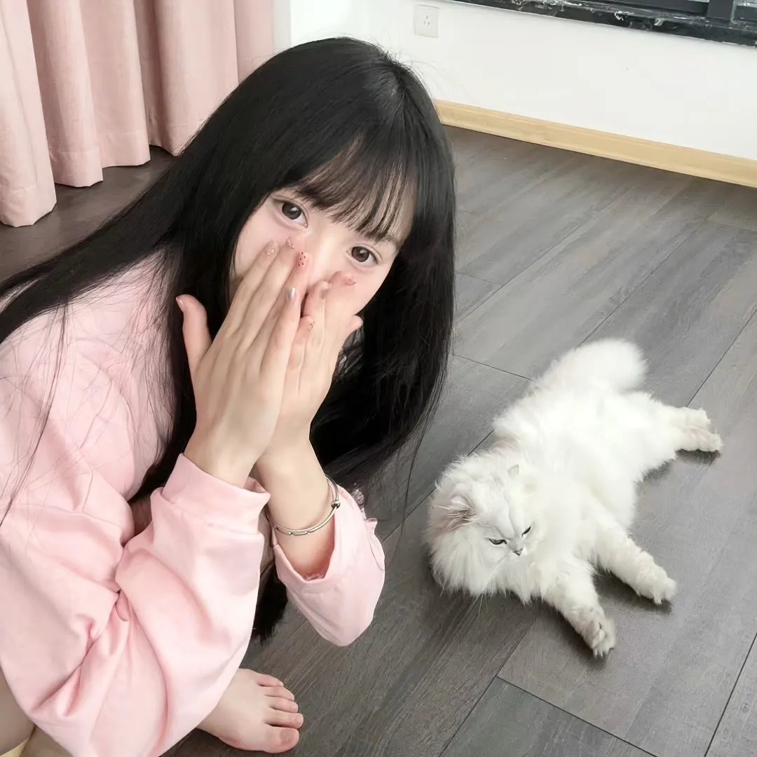 丑闻笔记